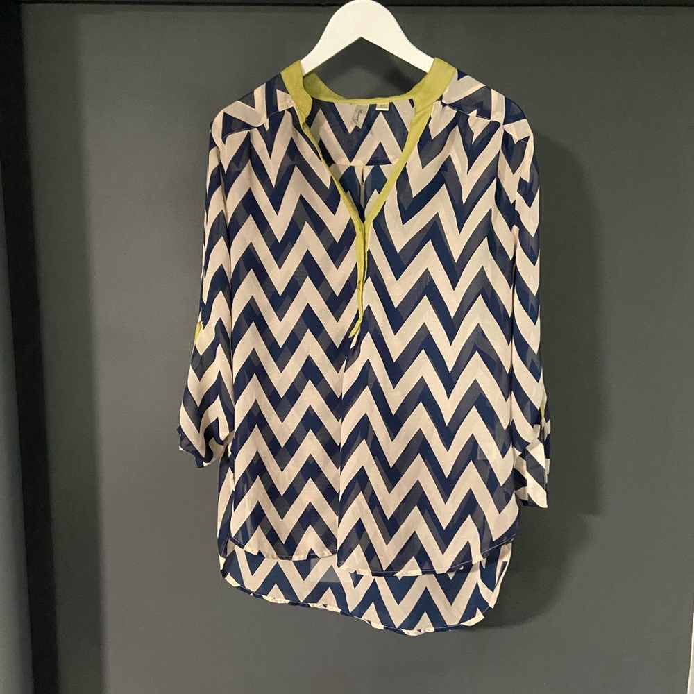 Sheer Blouse